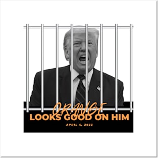 Trump indictment Posters and Art